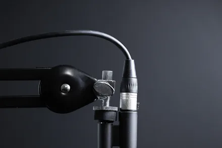 Placeholder: a two-microphone booth set up for dialogue
